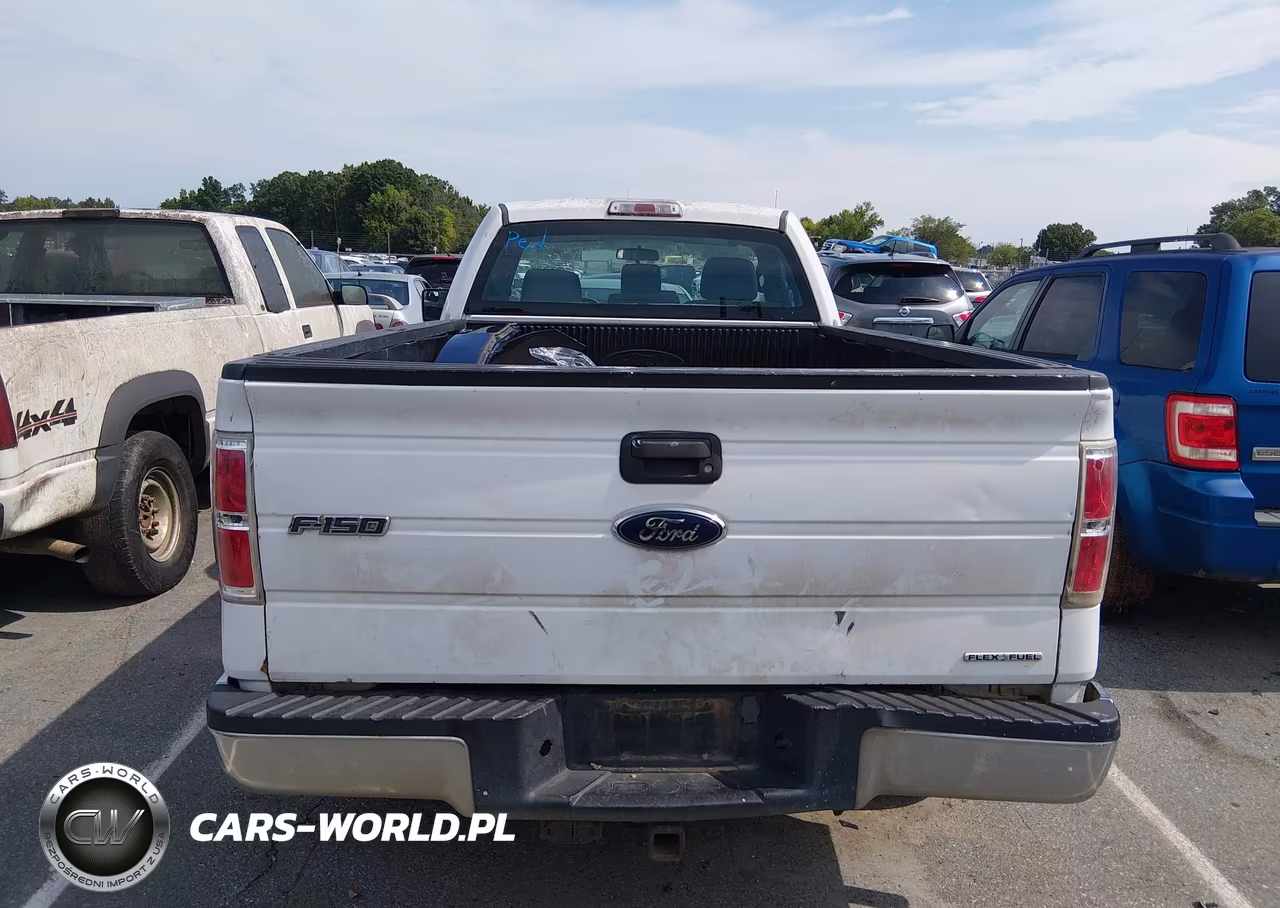 2013 Ford F-150 Xl VIN:1FTMF1CM7DKD99861 - 16