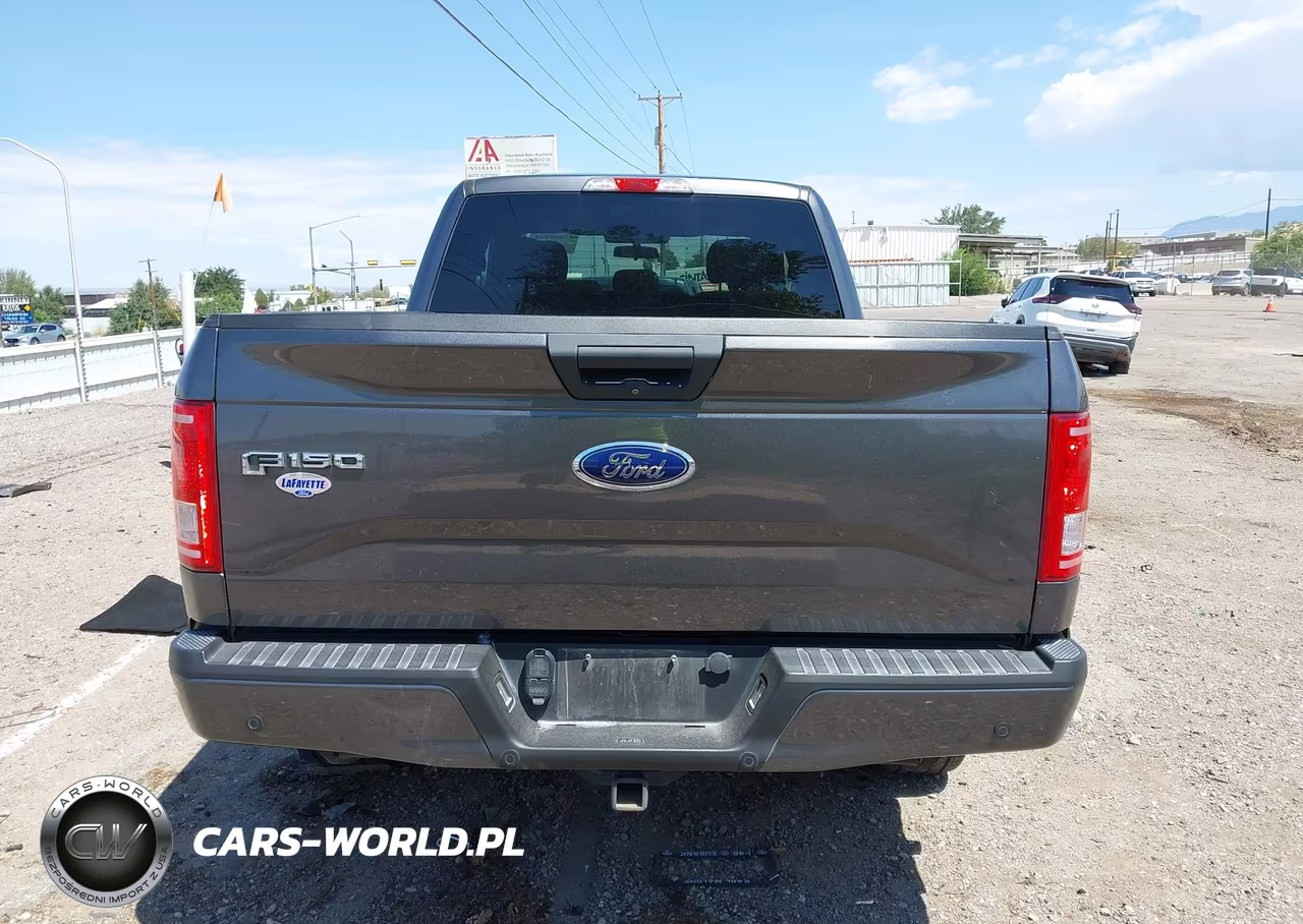 2017 Ford F-150 Xl VIN:1FTEX1EP9HFC29329 - 16