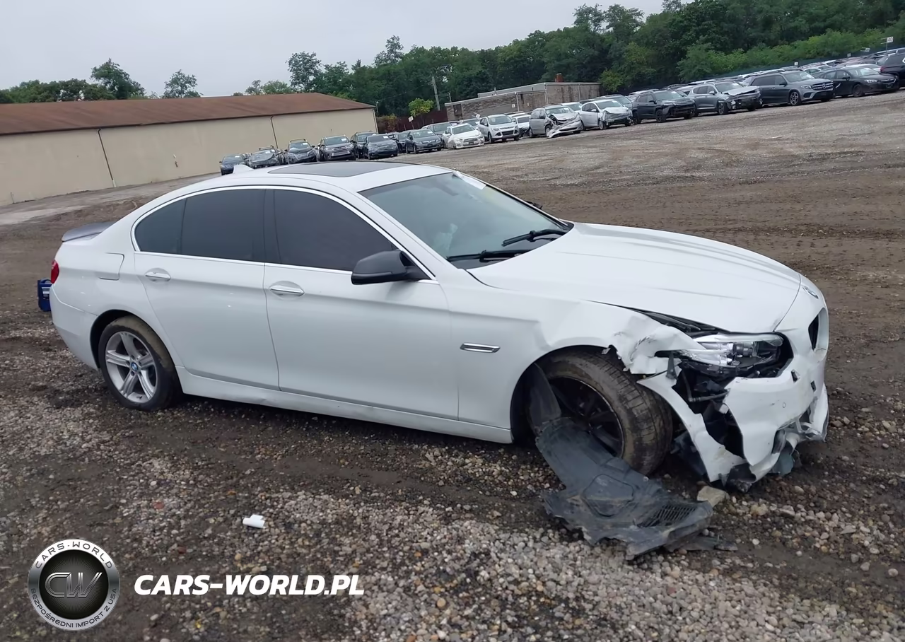2015 BMW 528I xDrive VIN:WBA5A7C53FD621511 - 12