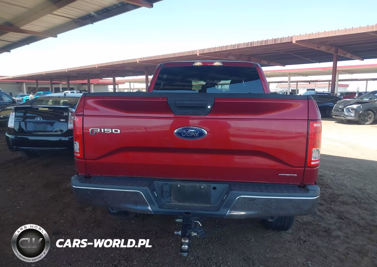 2016 Ford F-150 Xlt VIN:1FTFW1EF9GFD04351 - 16