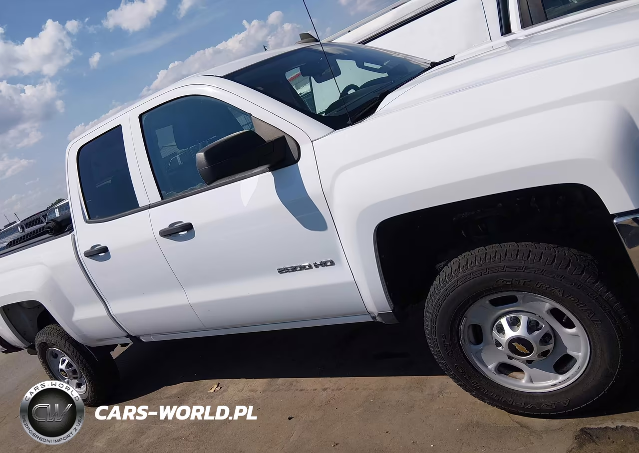 2017 Chevrolet Silverado 2500Hd Work Truck VIN:1GC2CUEG6HZ302719 - 13