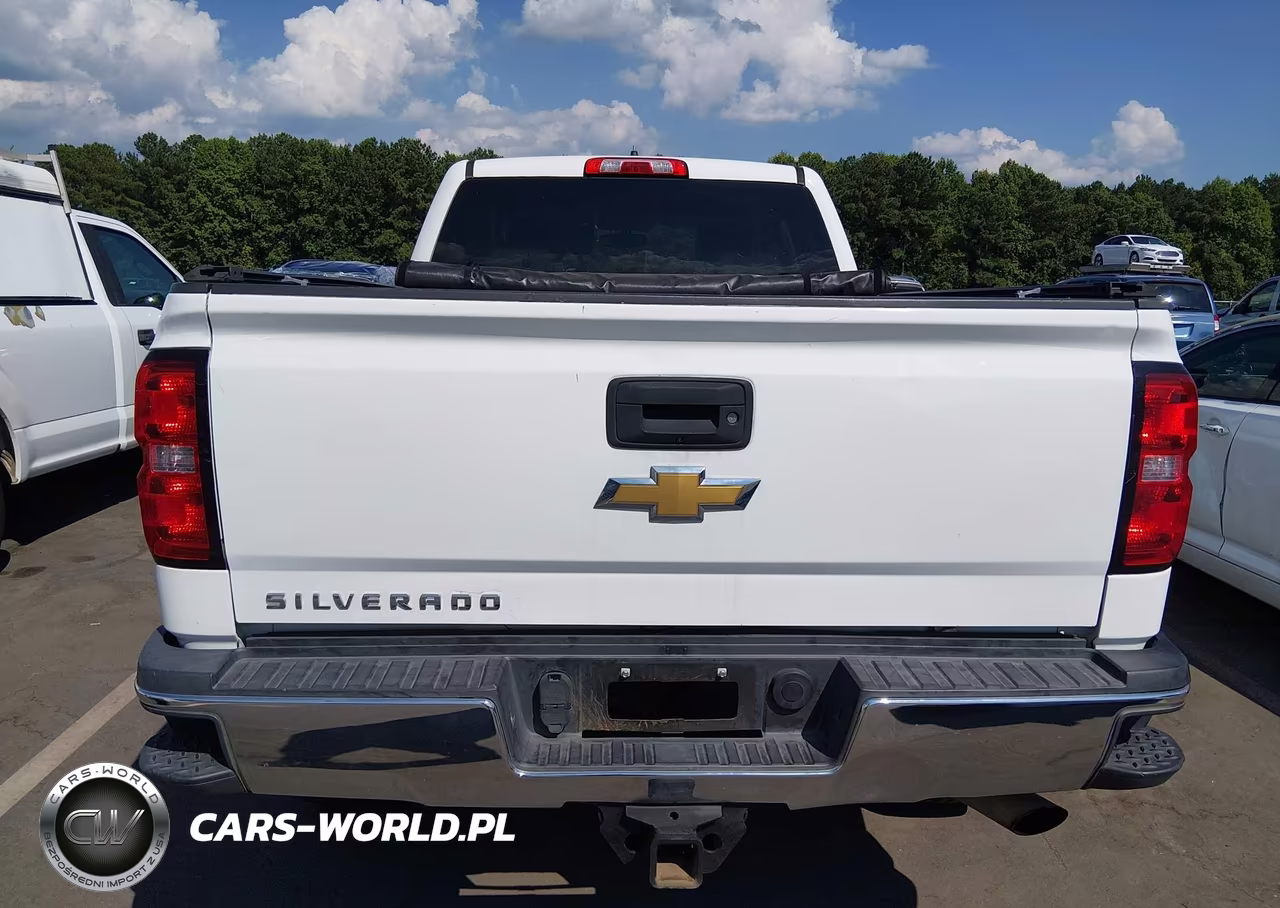 2017 Chevrolet Silverado 2500Hd Work Truck VIN:1GC2CUEG6HZ302719 - 16