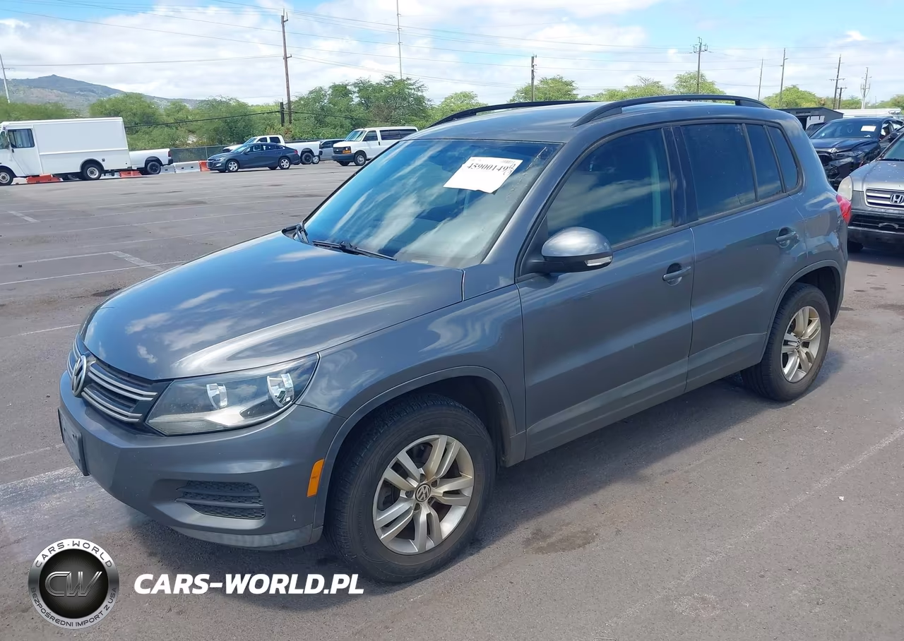 2016 Volkswagen Tiguan S VIN:WVGAV7AXXGW556216 - 2