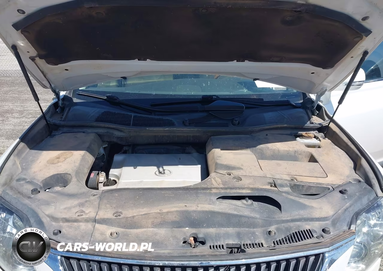 2012 Lexus Rx 350 VIN:JTJZK1BA1C2005890 - 10