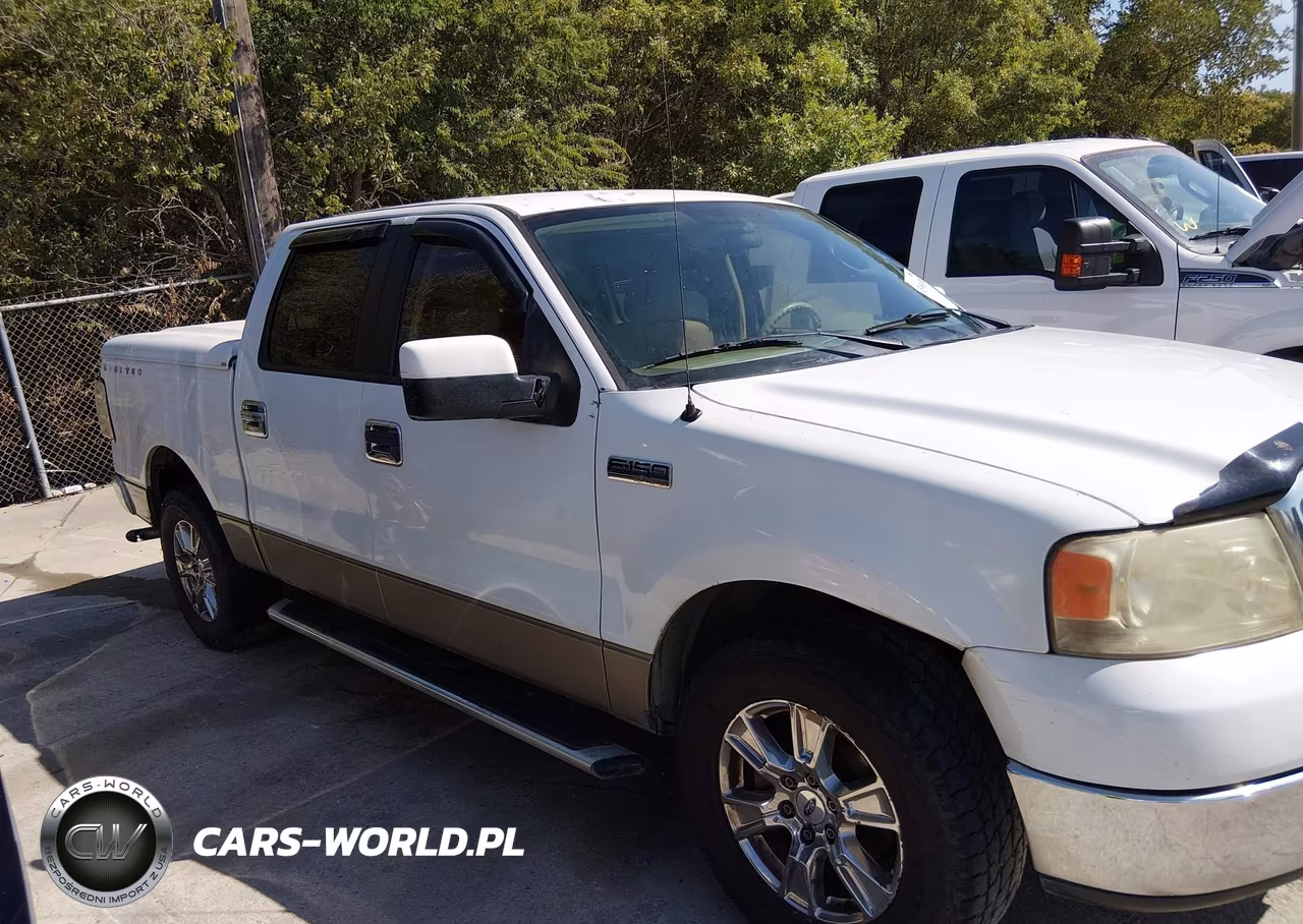 2005 Ford F-150 Xlt VIN:1FTRW12W25KC87933 - 13