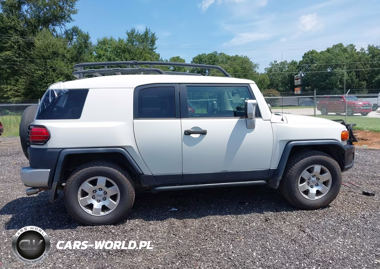 2010 Toyota Fj Cruiser VIN:JTEBU4BF4AK089787 - 13