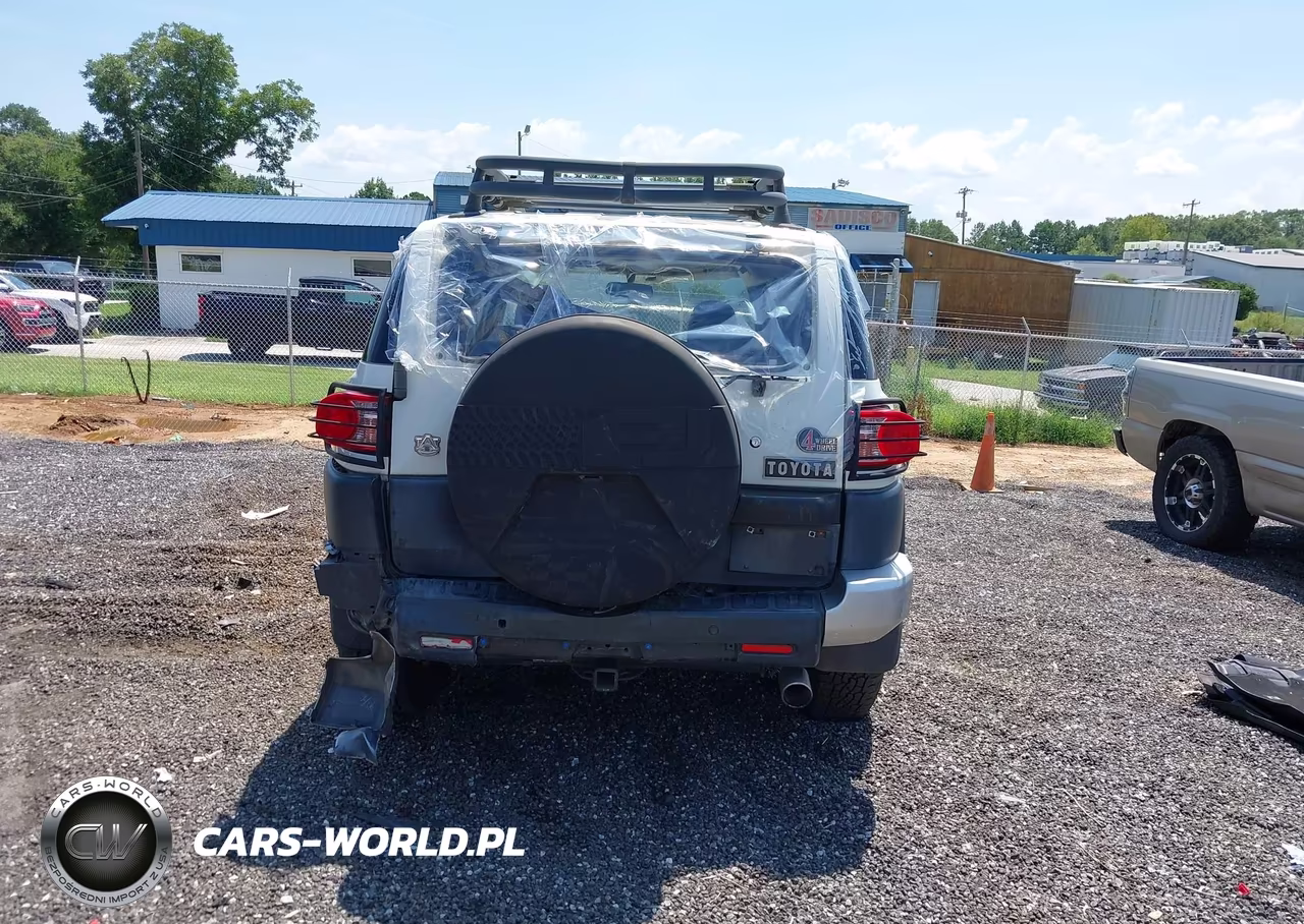 2010 Toyota Fj Cruiser VIN:JTEBU4BF4AK089787 - 16