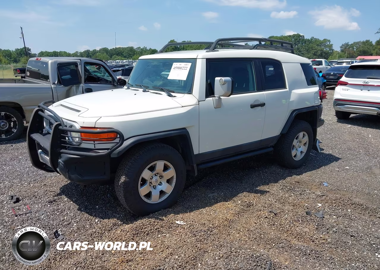 2010 Toyota Fj Cruiser VIN:JTEBU4BF4AK089787 - 2