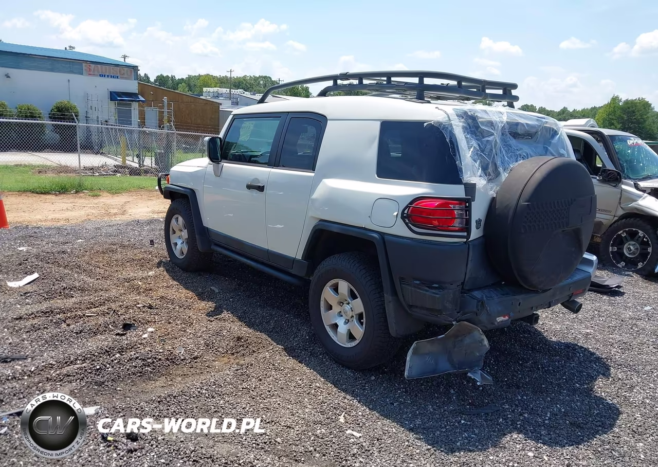 2010 Toyota Fj Cruiser VIN:JTEBU4BF4AK089787 - 3