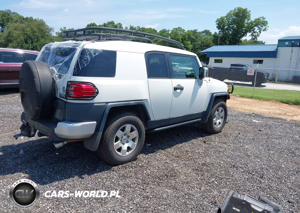 2010 Toyota Fj Cruiser VIN:JTEBU4BF4AK089787 - 4