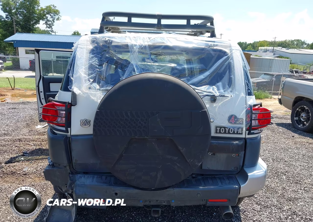 2010 Toyota Fj Cruiser VIN:JTEBU4BF4AK089787 - 6
