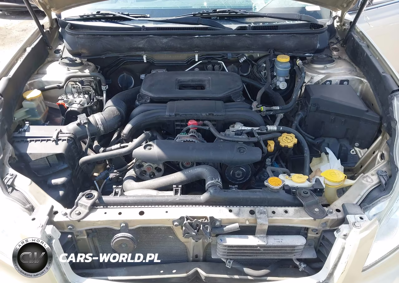 2010 Subaru Outback 2.5I Premium VIN:4S4BRCCC5A3334509 - 10