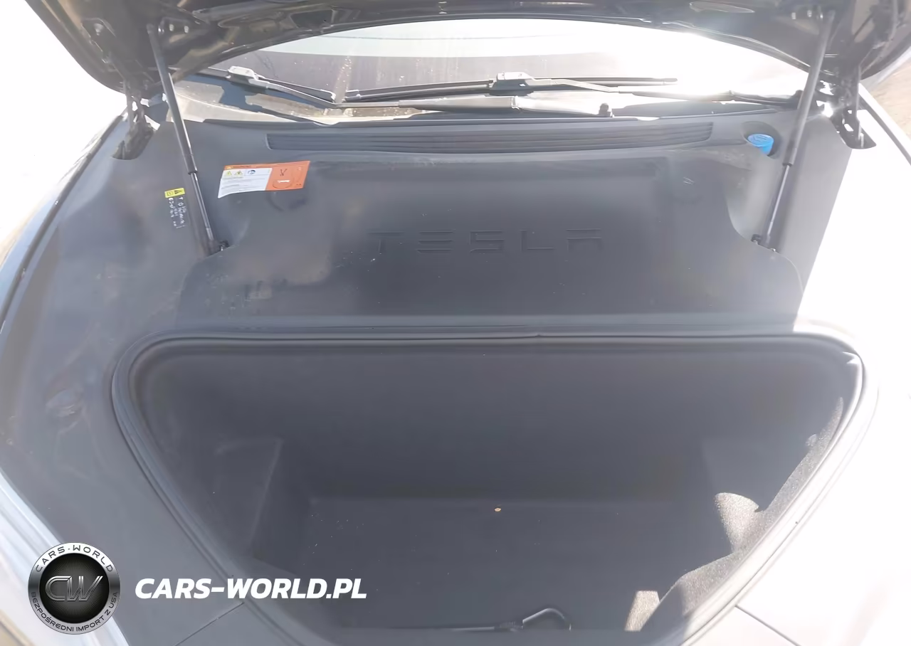 2018 Tesla Model S 100D-75D-P100D VIN:5YJSA1E20JF282987 - 10