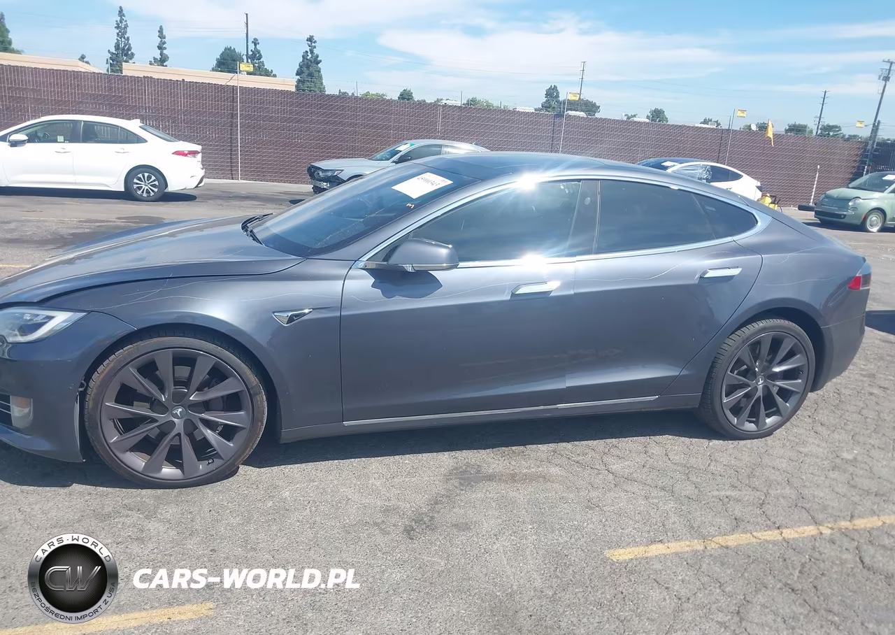 2018 Tesla Model S 100D-75D-P100D VIN:5YJSA1E20JF282987 - 19