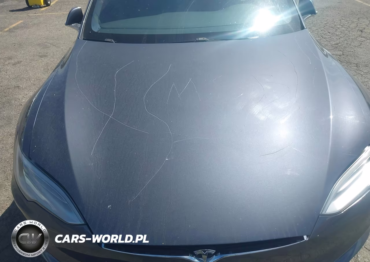 2018 Tesla Model S 100D-75D-P100D VIN:5YJSA1E20JF282987 - 6