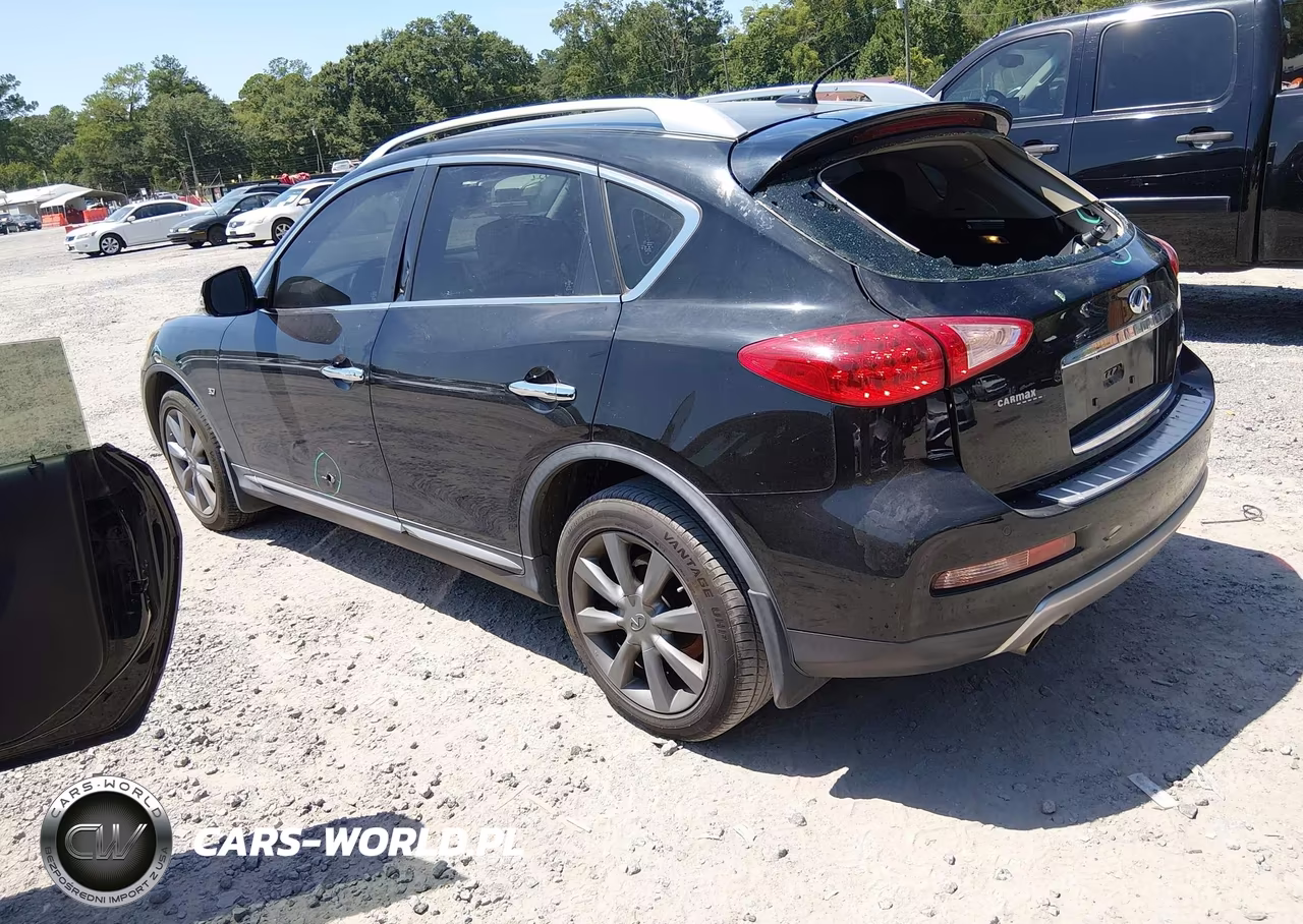 2017 Infiniti Qx50 VIN:JN1BJ0RR5HM416303 - 3