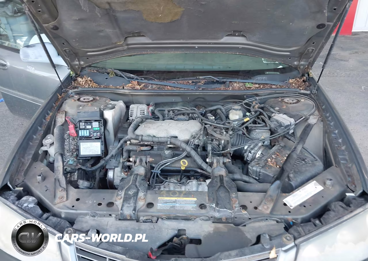 2004 Chevrolet Impala VIN:2G1WF52E649370081 - 10