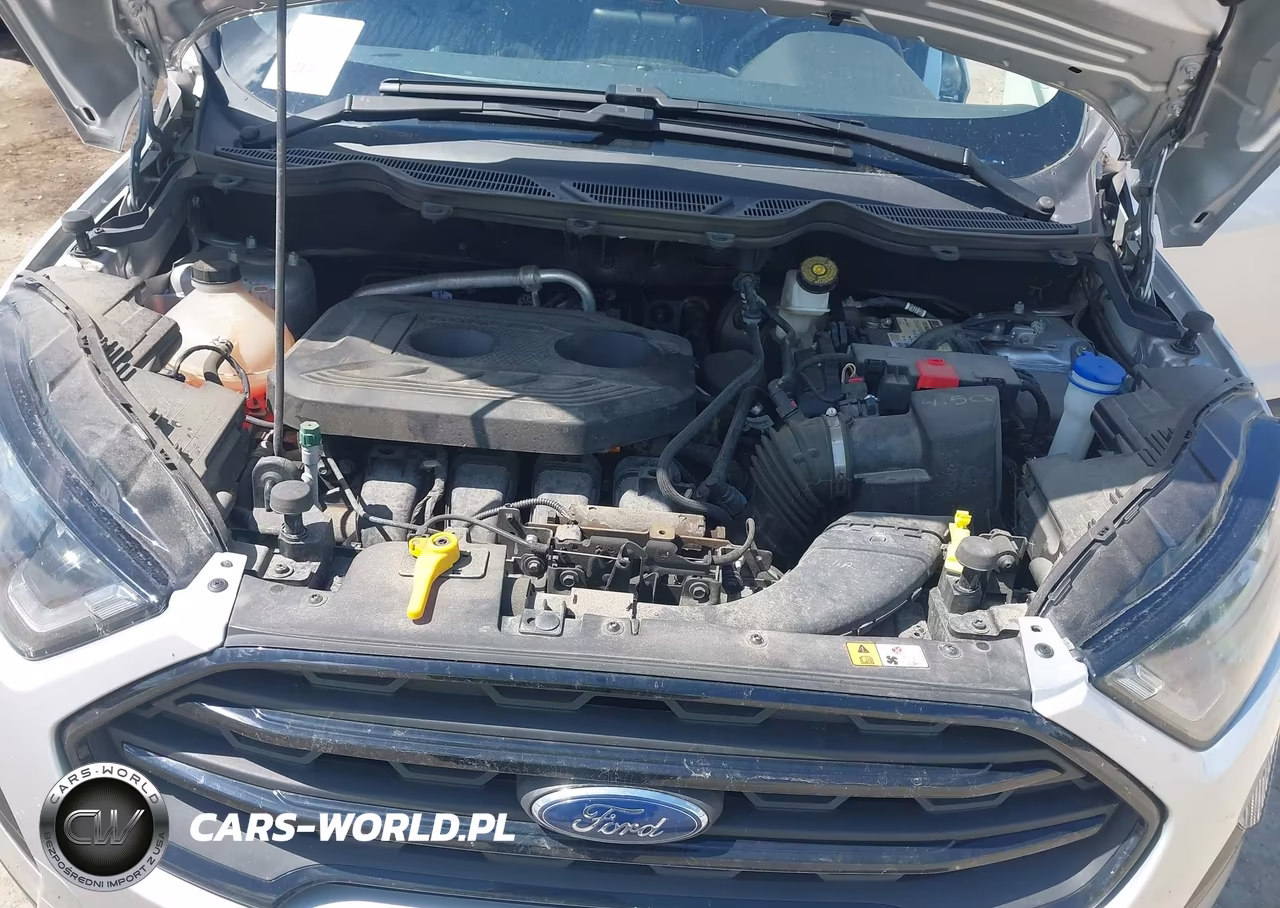 2020 Ford Ecosport Ses VIN:MAJ6S3JL3LC356451 - 10