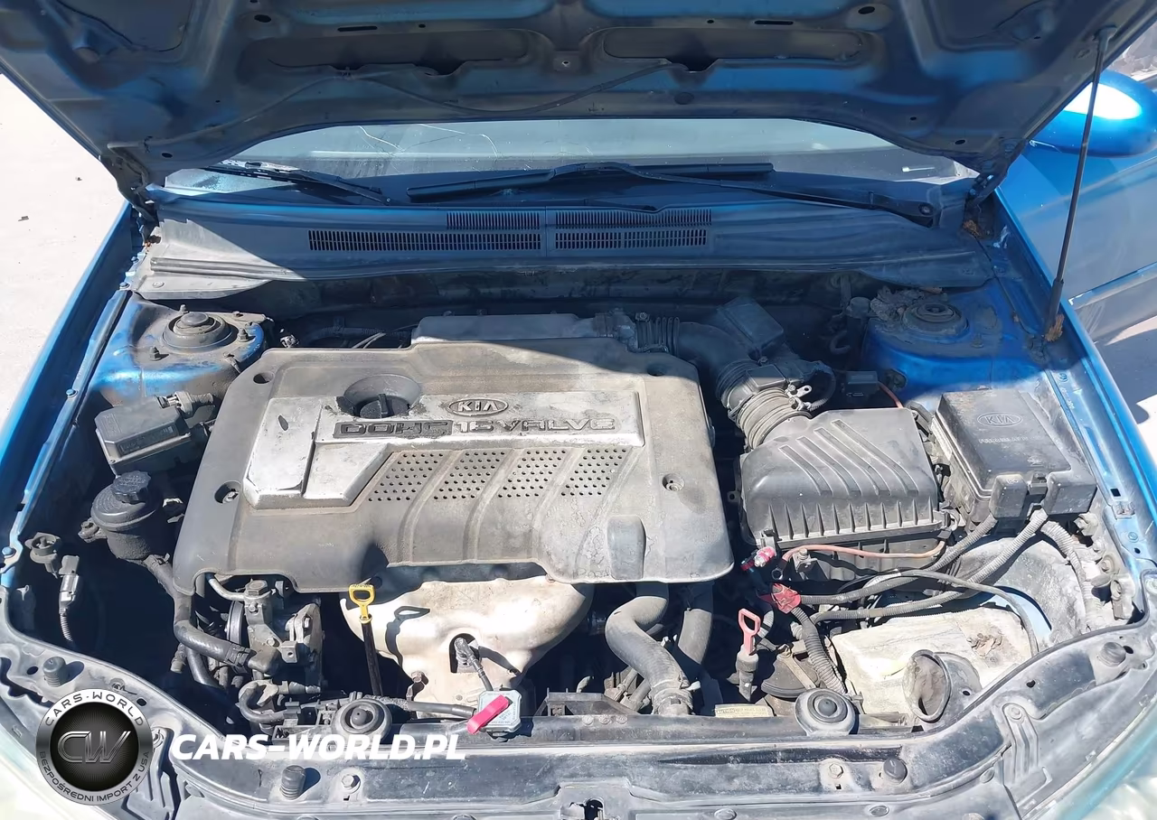 2005 Kia Spectra5 VIN:KNAFE161555178320 - 10