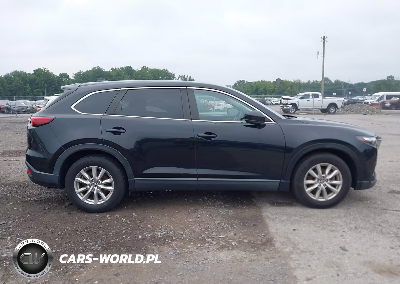 2016 Mazda Cx-9 Sport VIN:JM3TCBBY7G0110953 - 13