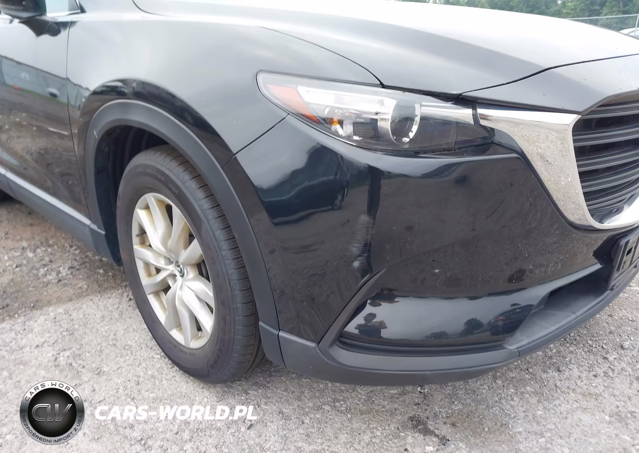 2016 Mazda Cx-9 Sport VIN:JM3TCBBY7G0110953 - 6