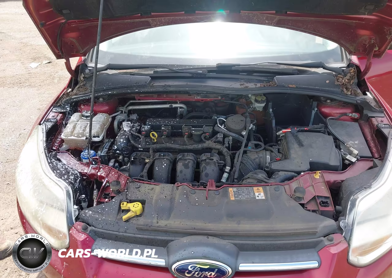 2014 Ford Focus Se VIN:1FADP3F23EL286266 - 10