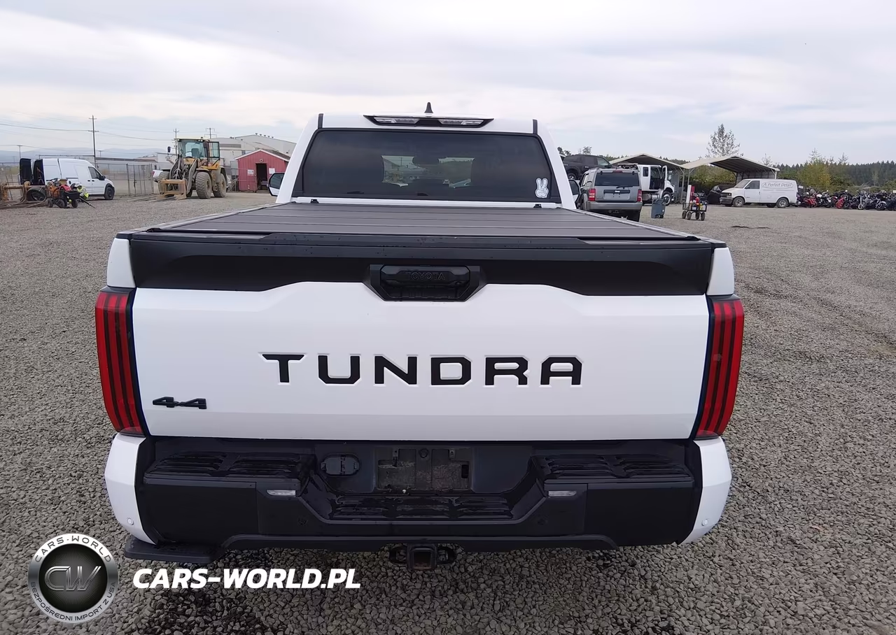 2022 Toyota Tundra Sr5 VIN:5TFLA5EC1NX003238 - 17