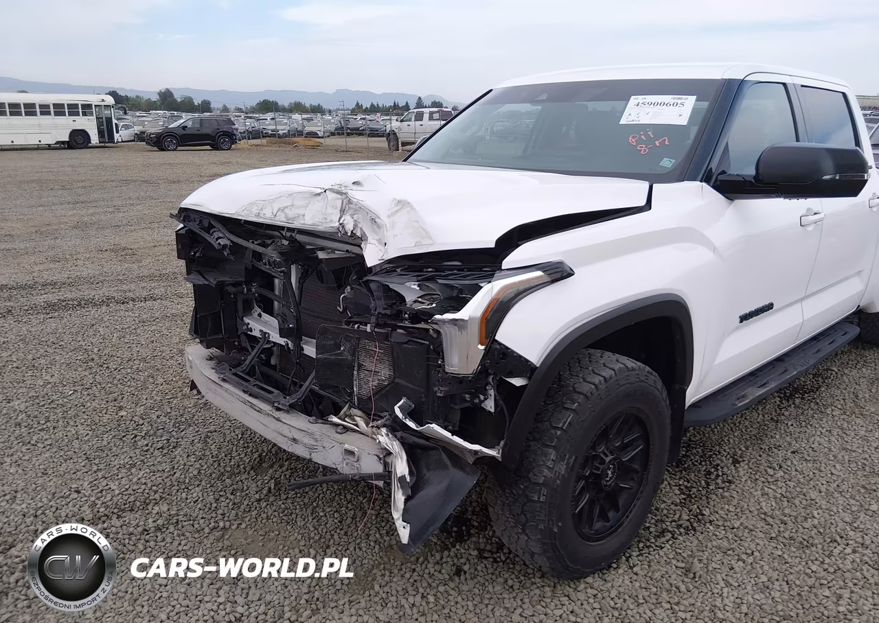 2022 Toyota Tundra Sr5 VIN:5TFLA5EC1NX003238 - 20