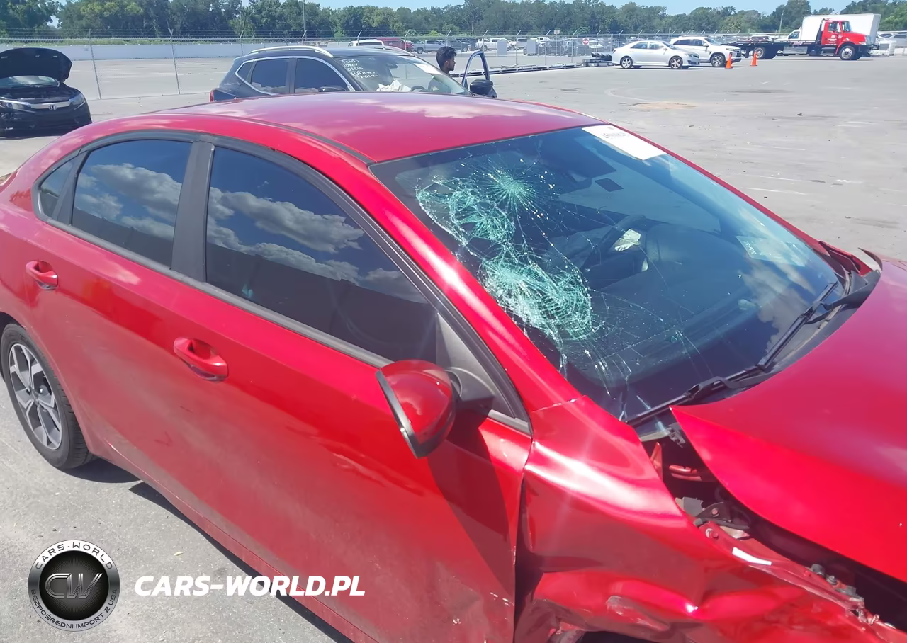 2019 Kia Forte Lxs VIN:3KPF24AD9KE121584 - 19