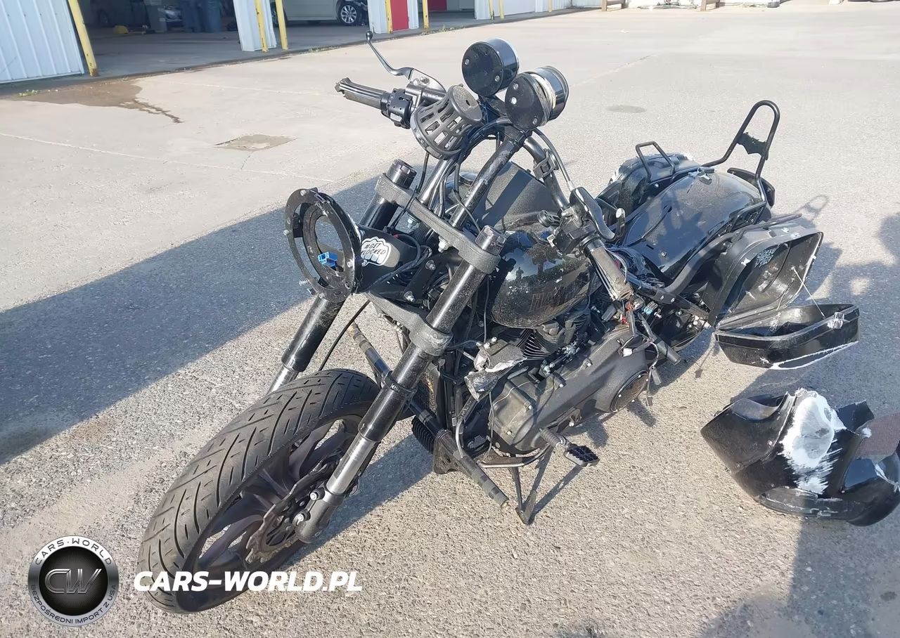 2020 Harley-Davidson Fxlrs VIN:1HD1YWK11LB066540 - 2