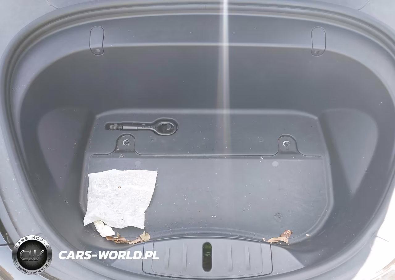 2019 Tesla Model 3 Long Range-Mid Range-Standard Range-Standard Range Plus VIN:5YJ3E1EA5KF399384 - 10