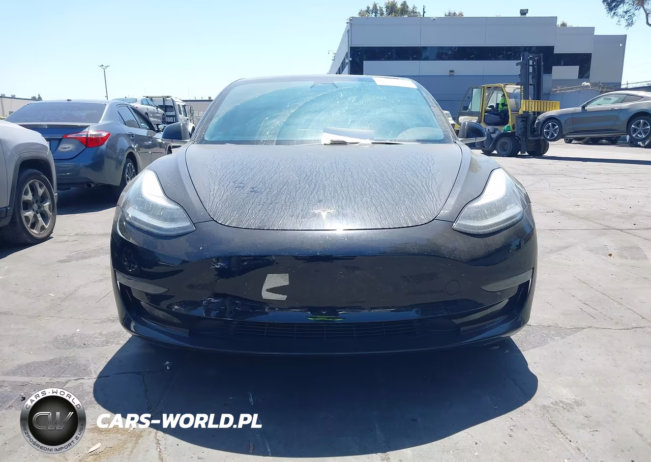2019 Tesla Model 3 Long Range-Mid Range-Standard Range-Standard Range Plus VIN:5YJ3E1EA5KF399384 - 12