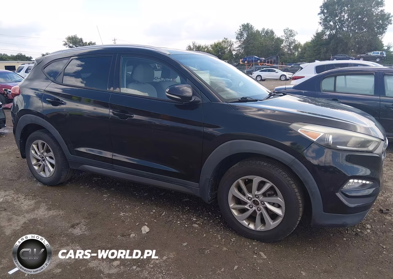 2016 Hyundai Tucson Eco VIN:KM8J33A25GU217457 - 13