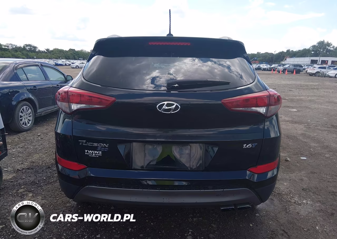 2016 Hyundai Tucson Eco VIN:KM8J33A25GU217457 - 16