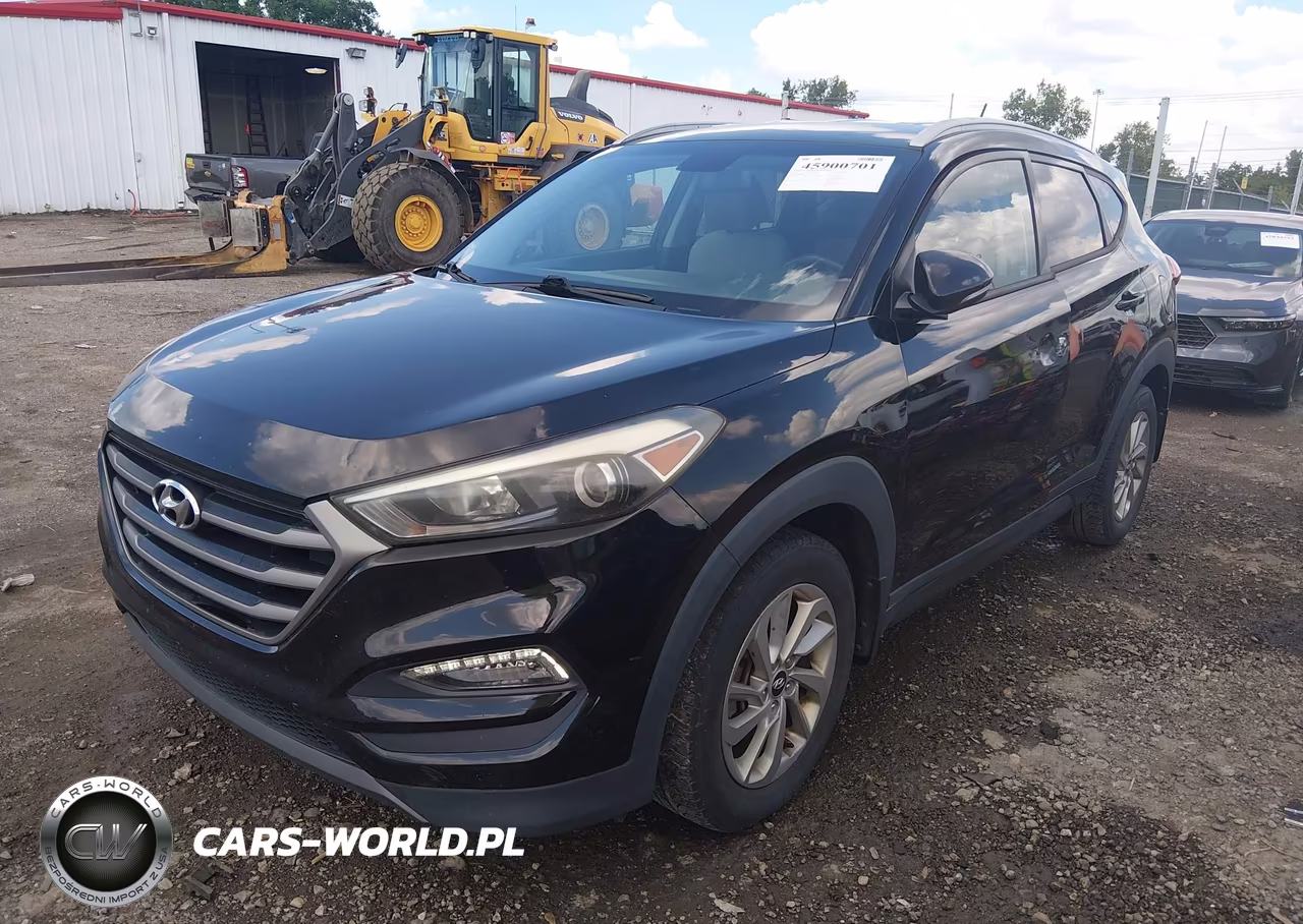 2016 Hyundai Tucson Eco VIN:KM8J33A25GU217457 - 2