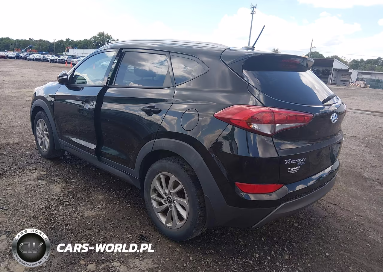 2016 Hyundai Tucson Eco VIN:KM8J33A25GU217457 - 3