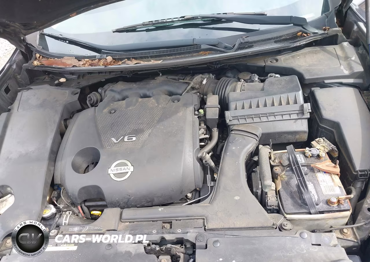 2013 Nissan Maxima 3.5 Sv VIN:1N4AA5AP5DC834303 - 10