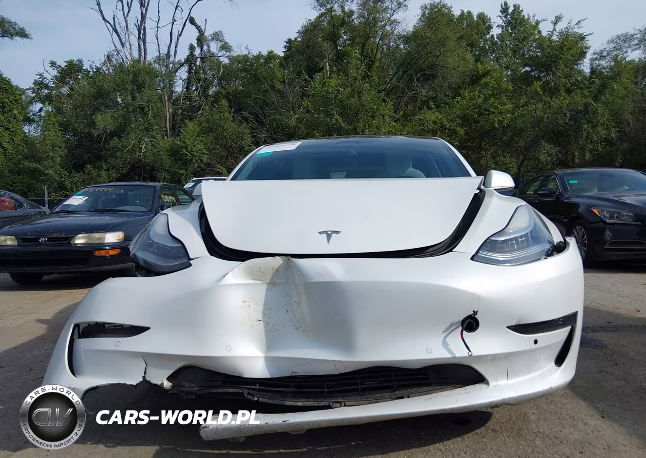 2019 Tesla Model 3 Long Range-Performance VIN:5YJ3E1EB9KF192277 - 6