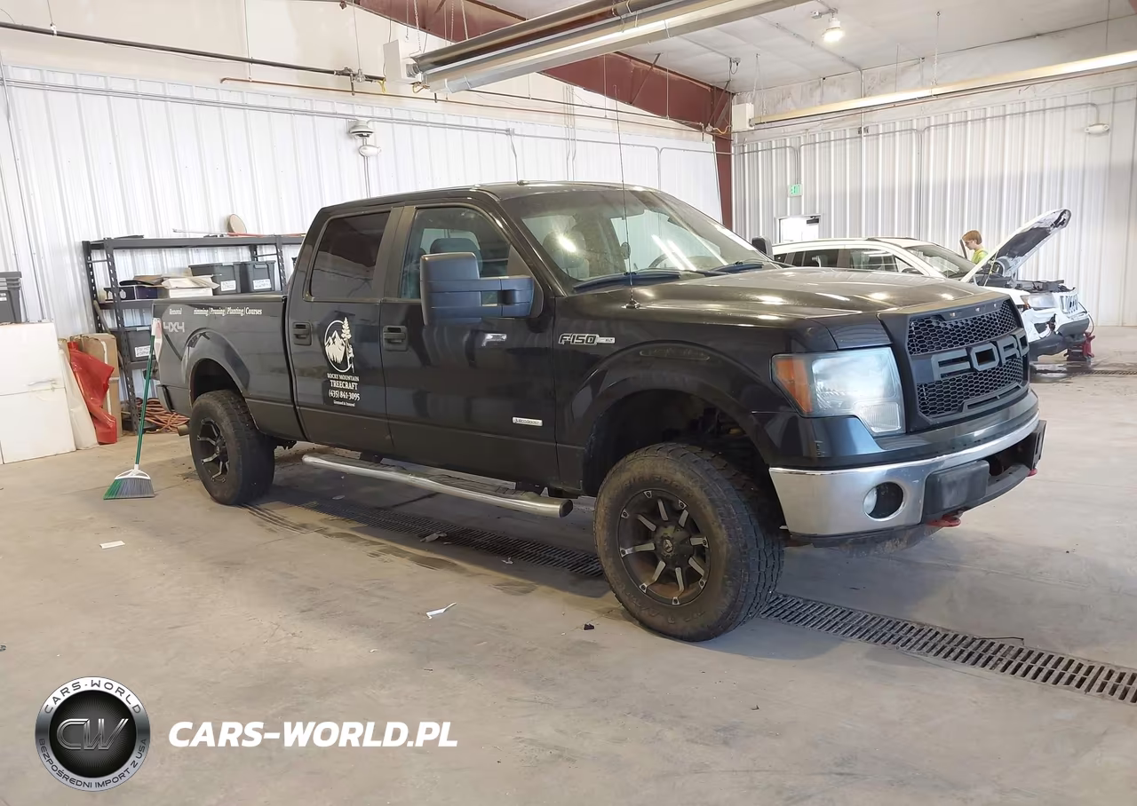 2013 Ford F-150 Xlt – zdjęcie 1 z 17