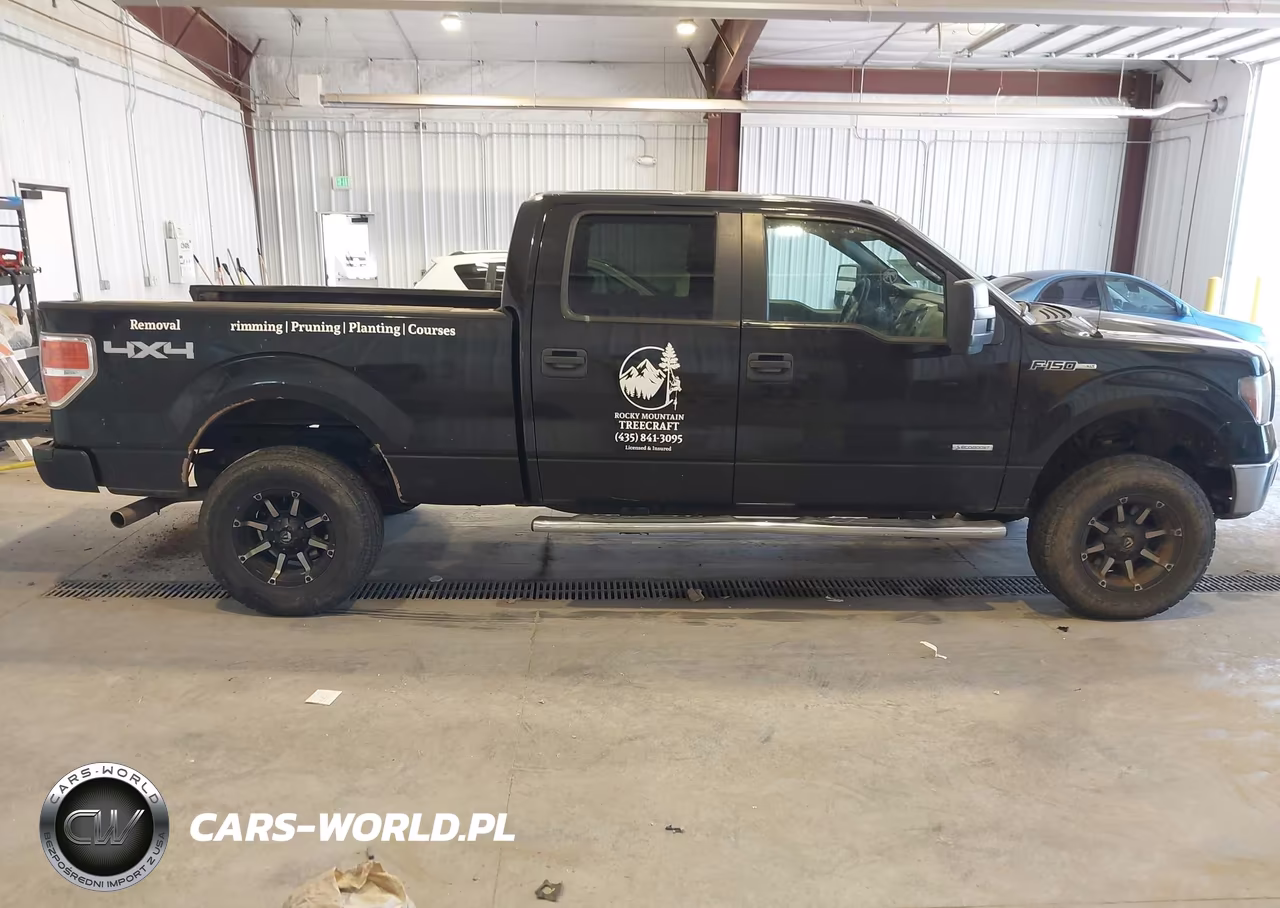 2013 Ford F-150 Xlt VIN:1FTFW1ET5DFA96521 - 14