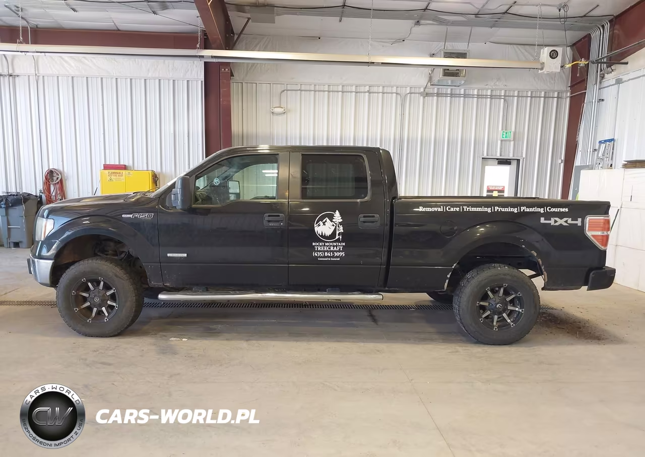 2013 Ford F-150 Xlt VIN:1FTFW1ET5DFA96521 - 15