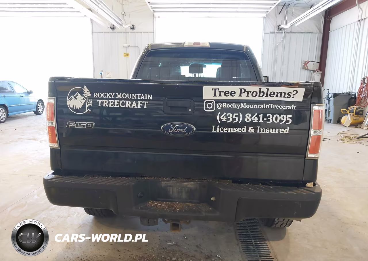 2013 Ford F-150 Xlt VIN:1FTFW1ET5DFA96521 - 17