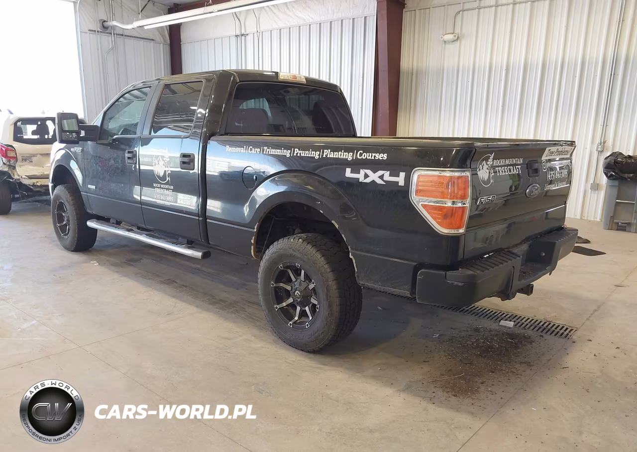 2013 Ford F-150 Xlt VIN:1FTFW1ET5DFA96521 - 3