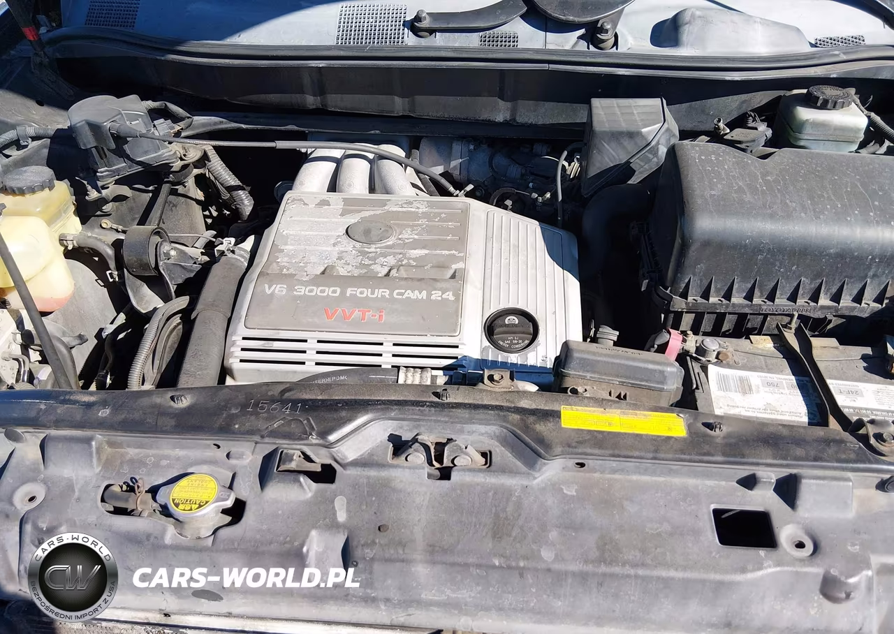 2001 Lexus Rx 300 VIN:JTJGF10UX10100532 - 10