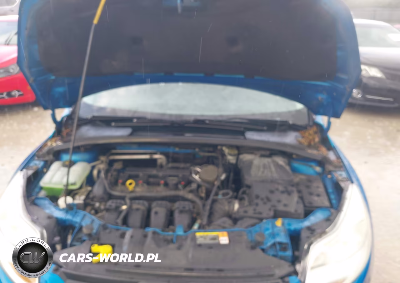 2014 Ford Focus Se VIN:1FADP3F23EL116070 - 10