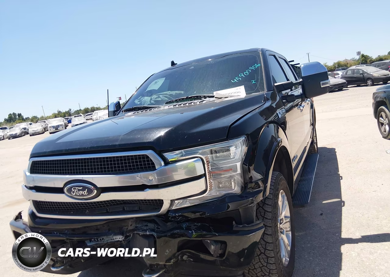 2018 Ford F-150 Platinum VIN:1FTFW1E1XJFD52498 - 12