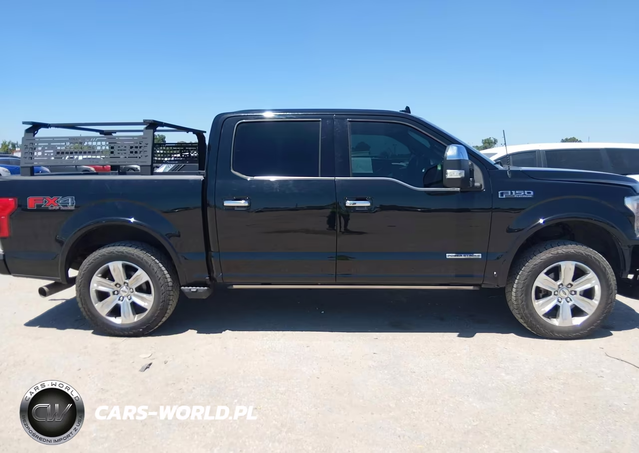 2018 Ford F-150 Platinum VIN:1FTFW1E1XJFD52498 - 13