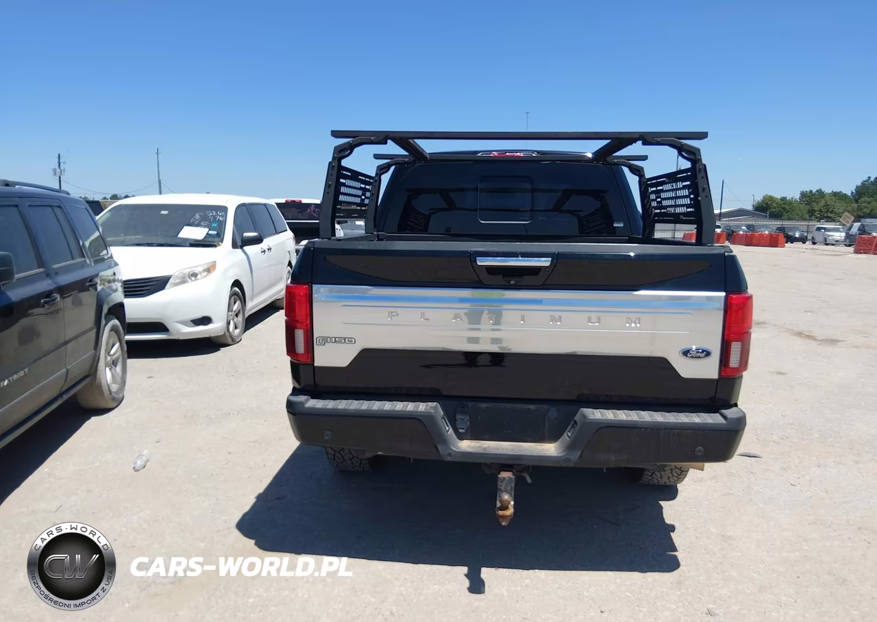 2018 Ford F-150 Platinum VIN:1FTFW1E1XJFD52498 - 16