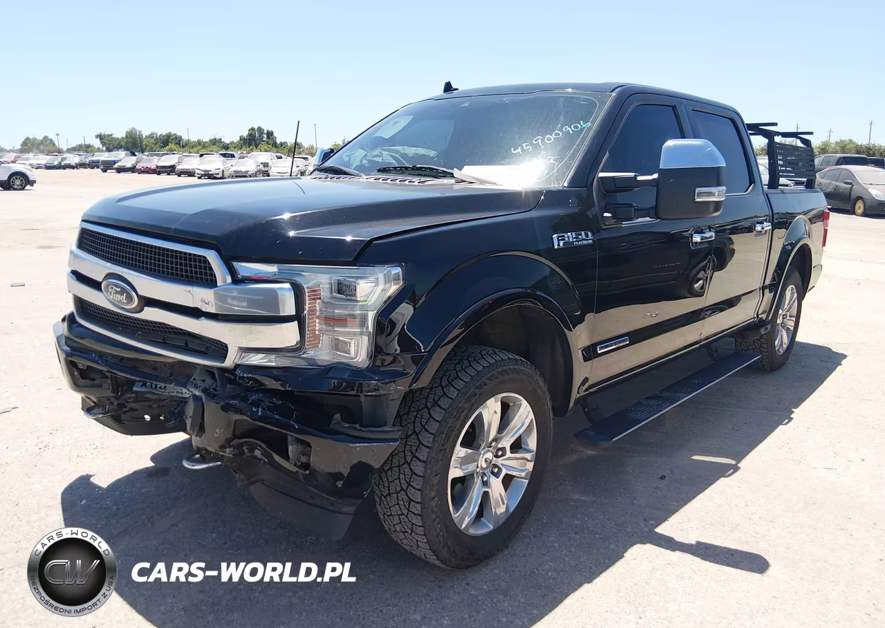 2018 Ford F-150 Platinum VIN:1FTFW1E1XJFD52498 - 2