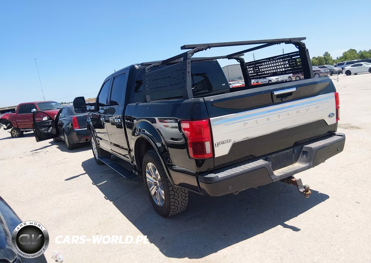 2018 Ford F-150 Platinum VIN:1FTFW1E1XJFD52498 - 3